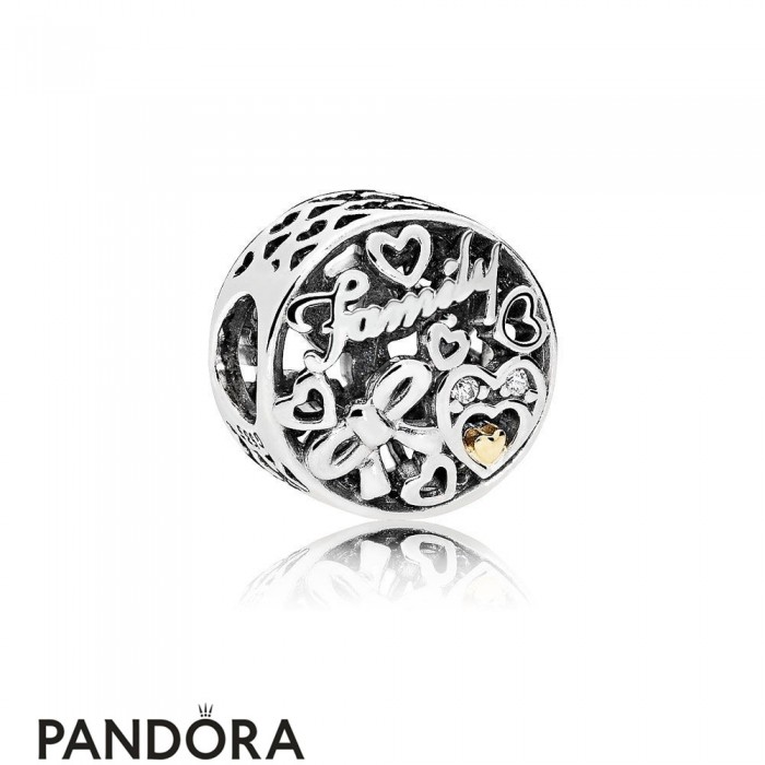 Pandora Family Charms Family Tribute Charm Jewelry