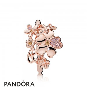 Pandora Rose Wildflower Meadow Ring Jewelry